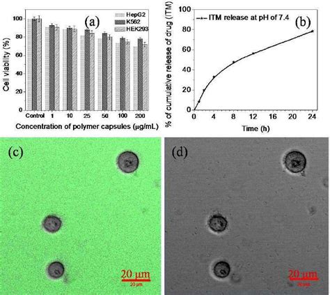 Plot A Mtt Assay For Cell Viability Of Spherical Nanoporous Polymer