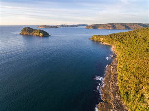 Lion Island Archives Central Coast Drones