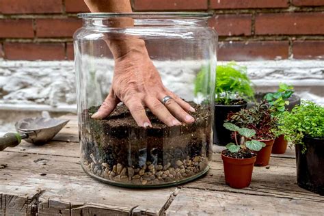 How To Make A Terrarium