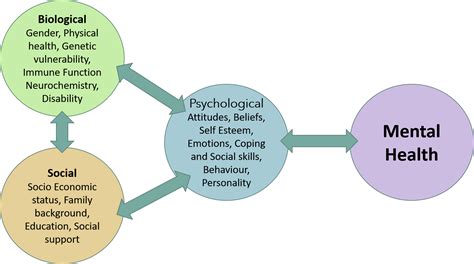 Biopsychosocial Model Of Health