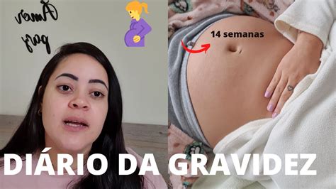 Primeiro Trimestre Sintomas tive anemia DIÁRIO DA GRAVIDEZ YouTube