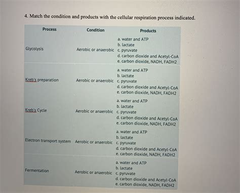 Solved Biology Photosynthesis 1 Match The Description With The