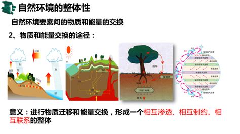 2023届高三地理新高考一轮复习课件 专题23：自然地理环境的整体性和差异性（110张） 21世纪教育网