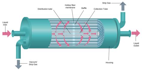 Membranes Free Full Text Co Absorption Using Hollow Fiber Membrane