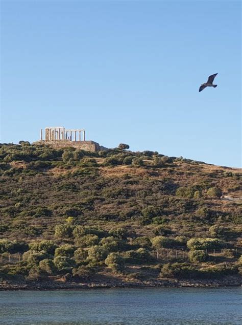 Kaap Sounio Tempel Van Poseidon Priv Trip Vanuit Athene Getyourguide