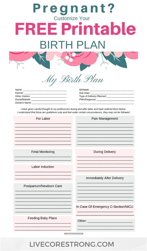 How To Make The Ultimate Birth Plan Free One Page Template Birth