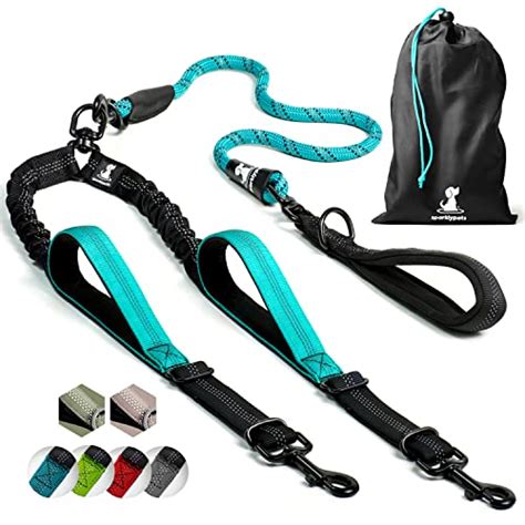 The Best Dog Leash Review (Updated 2023)