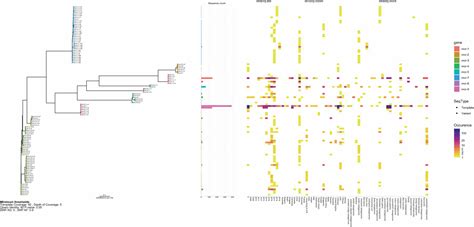 Global Distribution Of Mcr Gene Variants In K Metagenomic Samples