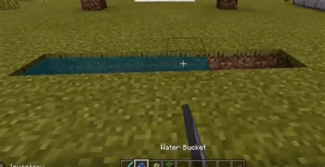 How To Plant Beetroot In Minecraft