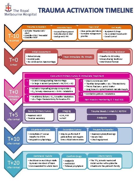 TRAUMA ACTIVATION TIMELINE Trauma Activation T10 Team Brief