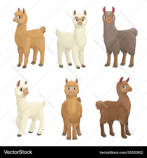 Lama Alpaca Guanaco Llama And Vicuna Animals Vector Image