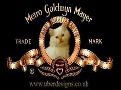 130 MGM Logo Parodies ideas in 2024 | mgm, parody, metro goldwyn mayer