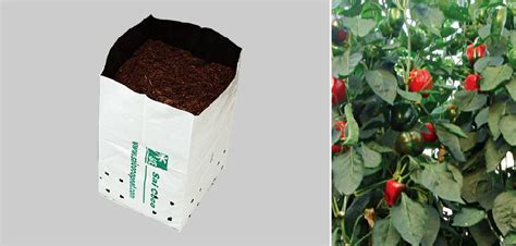 Organic Coir Cocopeat Opentop Growbags For Agriculture Form Block