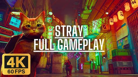 Stray Full Gameplay Walkthrough 4k60fps No Commentary Youtube