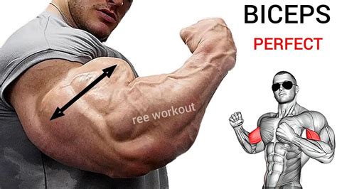 Bicep Workout At Gym For Huge Arms Develop Youtube