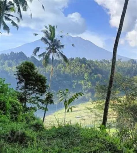 Tanah Full View G Agung Persawahan Perbukitan Dan Sungai Telaga Waja