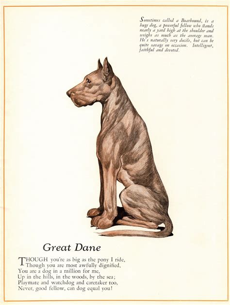 Vintage Great Dane Print S Great Dane Poetry Poem Etsy In