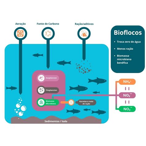 Tecnologia De Bioflocos Projetos Agropecuarios