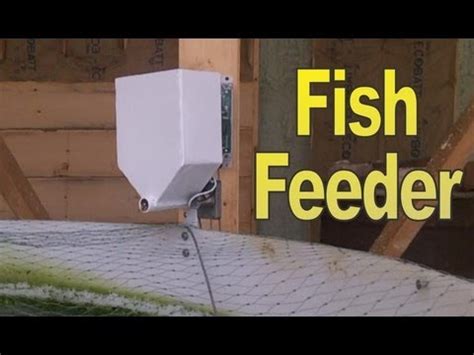 Diy automatic fish feeder - wraprety