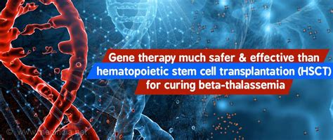 Gene Therapy More Safe and Effective for Curing Beta-thalassemia