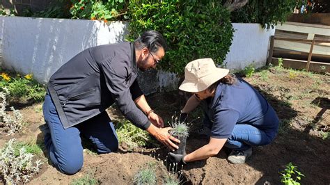 Implementan Jardines Urbanos Demostrativos Para La Conservaci N De