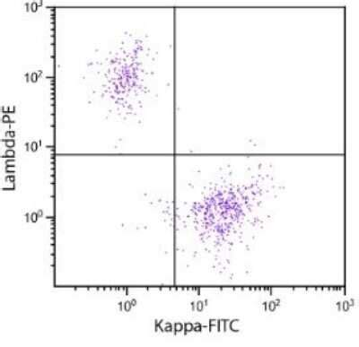 Lambda Light Chain Antibody [TRITC] (NB100-64944): Novus Biologicals