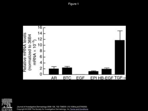 Retinoid Induced Epidermal Hyperplasia Is Mediated By Epidermal Growth