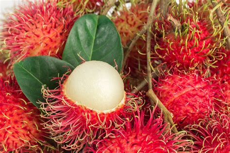 Wajib Tahu Berikut Manfaat Rambutan Untuk Kesehatan