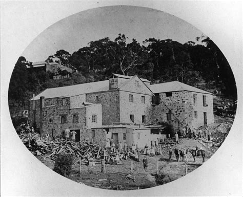 NEW BOOK out soon! The Biscuit Factory: Hidden history in Coromandel Valley