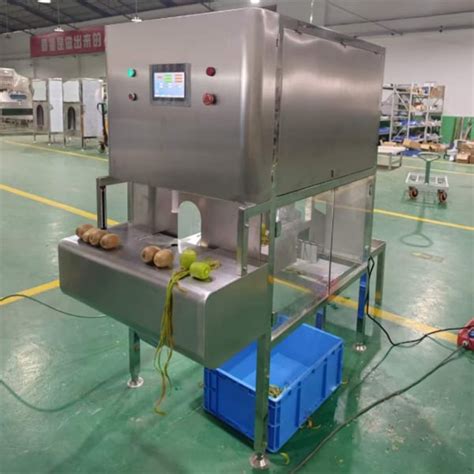 2024 Best Kiwi Peeling Machine FactoryHanghui Machinery