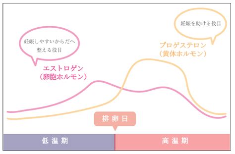 どう乗り越える？女性ホルモンによる「心と体のゆらぎ」