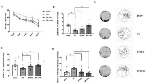 Application of beraprost sodium as medicine for improving vascular ...