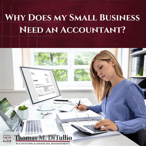 Why Does My Small Business Need An Accountant TMD Accounting