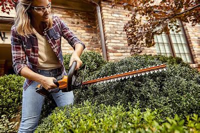 Best Stihl Cordless Hedge Trimmer - Best Hedge Trimmer