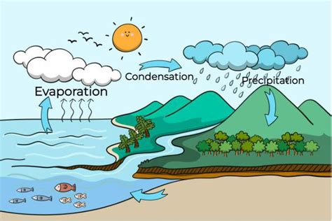 What is Evaporation? - Definition, Examples, Process, Factors, and FAQs