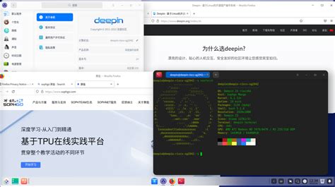 深度操作系统 deepin for RISC V 生态关键进展成功适配算能 SG2042 服务器板卡 51CTO