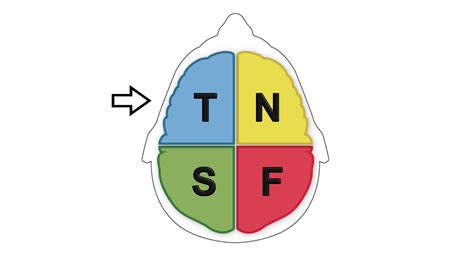 Thinking Te Vs Ti Youtube