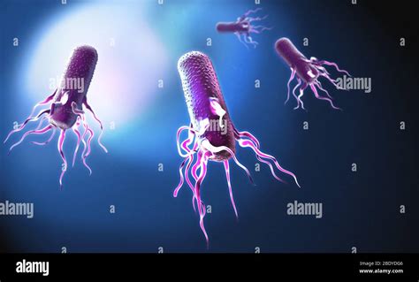 E. Coli with Flagella, Illustration Stock Photo - Alamy