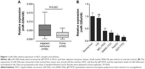 Mirna 320a Inhibits Tumor Proliferation And Invasion By Targeting C My