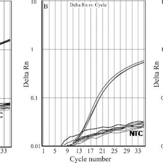 Plots Showing Real Time PCR Amplification Of Singleplex Assays