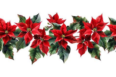 Seamless Tile of Christmas Poinsettias Border Isolated 48052428 PNG