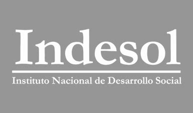 Programa De Coinversi N Social Instituto Nacional De Desarrollo