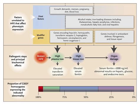 Hereditary Hemochromatosis — A New Look At An Old Disease Nejm