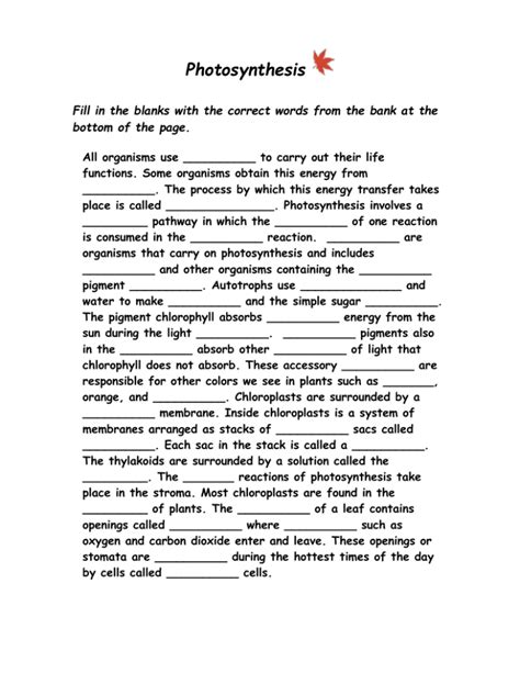 Photosynthesis Fill In The Blank