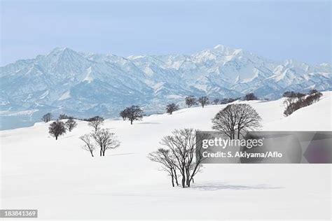 Niigata Snow Photos and Premium High Res Pictures - Getty Images