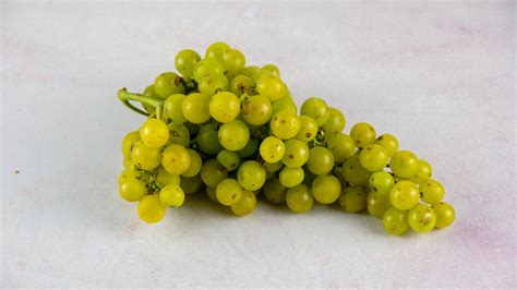 Moscato Giallo Grape Crop of 2023 | Bingham Family Vineyards