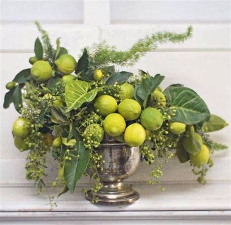 by Nancy Mann on Gardens & Greenery in 2025 | Beautiful flower ...