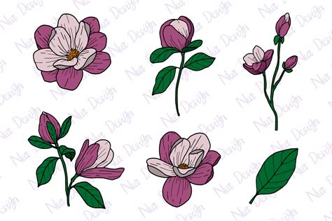 Magnolia Flower Illustration Set Svg Graphic By Nurdesign99 · Creative