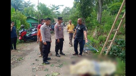 Jatuh Dari Pohon Mahoni Seorang Kakek Di Purwakarta Meninggal Di