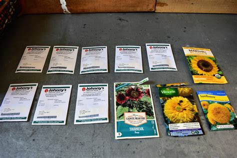 Planting a Bed of Sunflowers - The Martha Stewart Blog